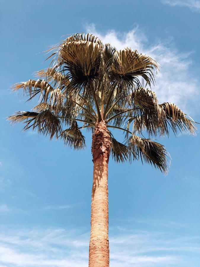 Villa Fernweh - Delta De L'Ebre Riumar Esterno foto