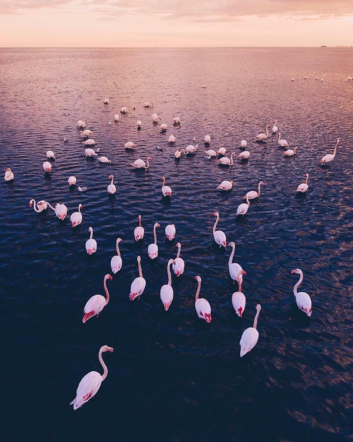 Villa Fernweh - Delta De L'Ebre Riumar Esterno foto